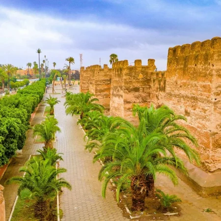 97e09d1f-0bd3-4377-bf75-6bd808217051