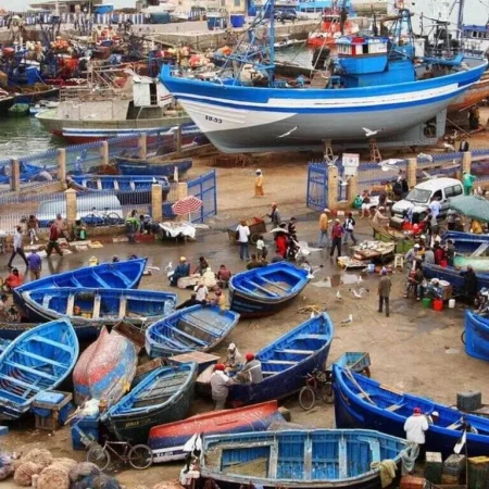 Essaouira excursion from Agadir