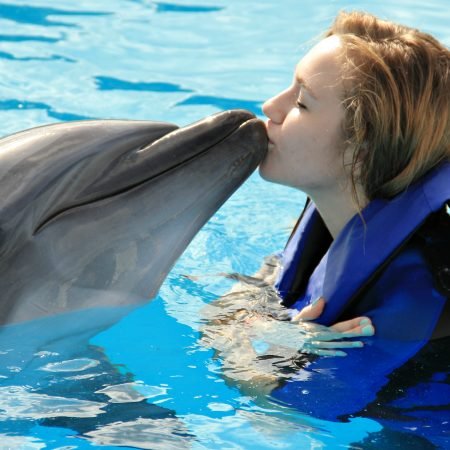 Dolphin-Swim-in-Bali