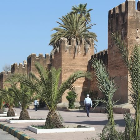 Taroudant_Walls_-_May_2016