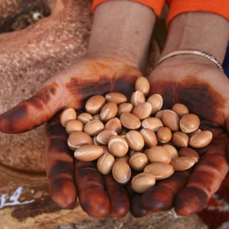 best-price-bulk-organic-argan-oil-deamra