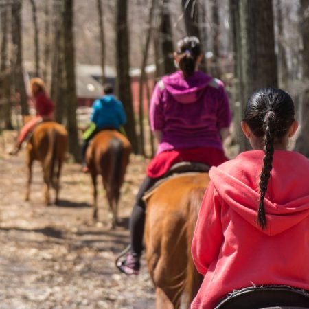 e-19764458-26537535991-b33080450a-k166366832516636687636245