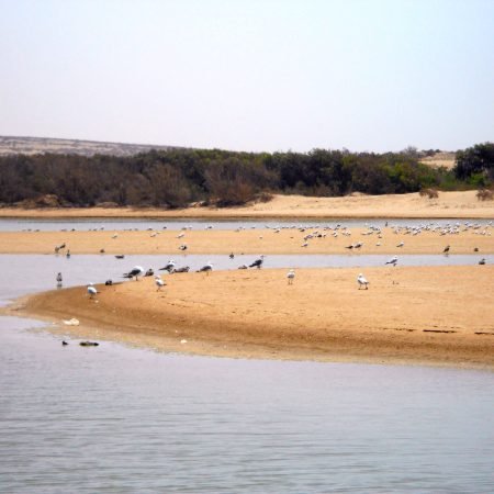 saharadeserttour_223